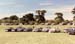 1989_Rally_Field